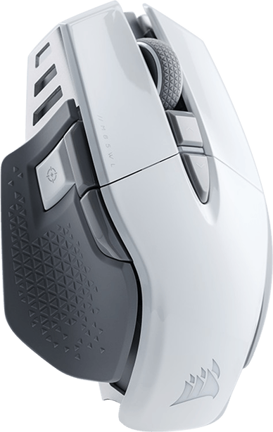 mouse-2